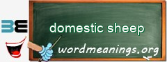 WordMeaning blackboard for domestic sheep